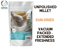 குதிரைவாலி (Barnyard millet) குதிரைவாலி (Barnyard millet)