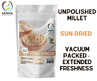 சோளம் (Sorhgam Millet)