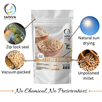 சோளம் (Sorhgam Millet)